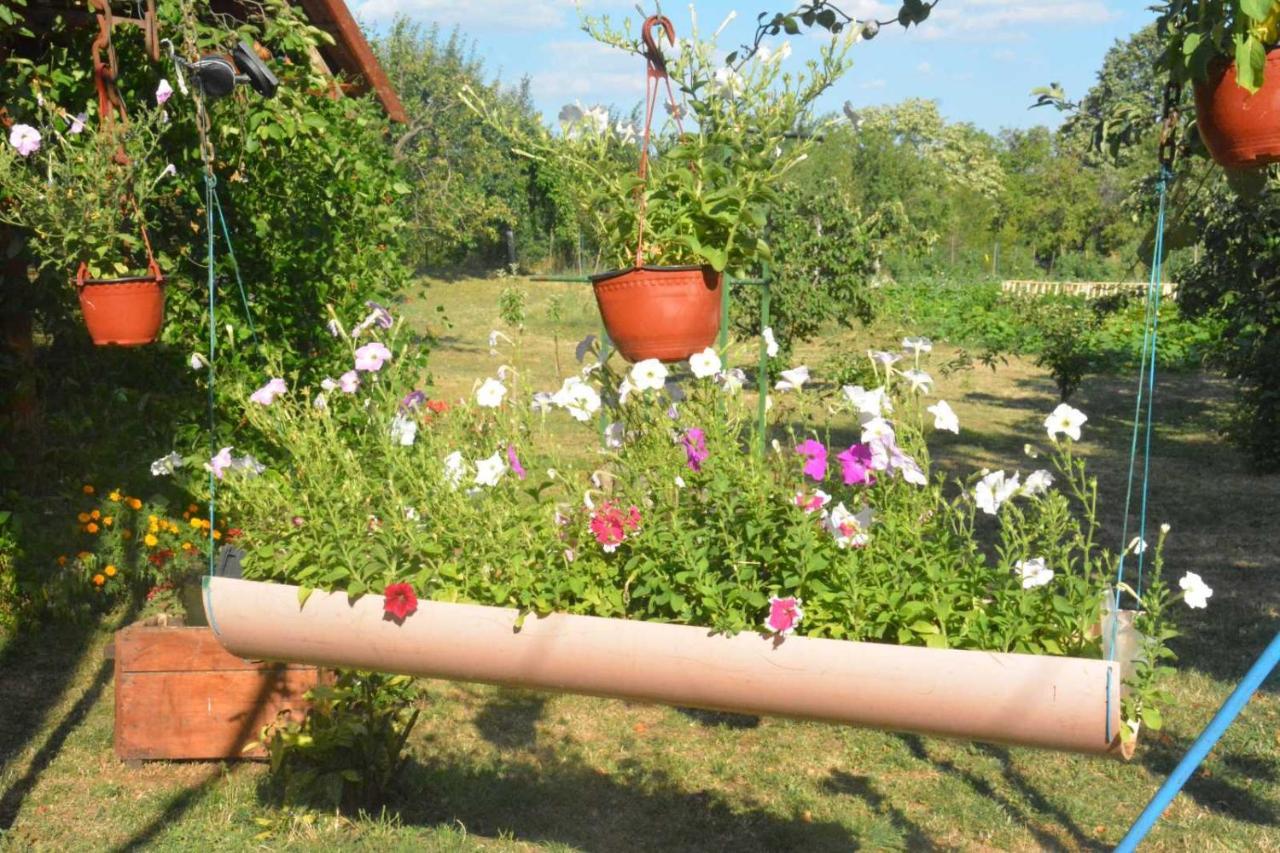 Gazdinstvo Tadic Guest House Nikšić Exterior foto