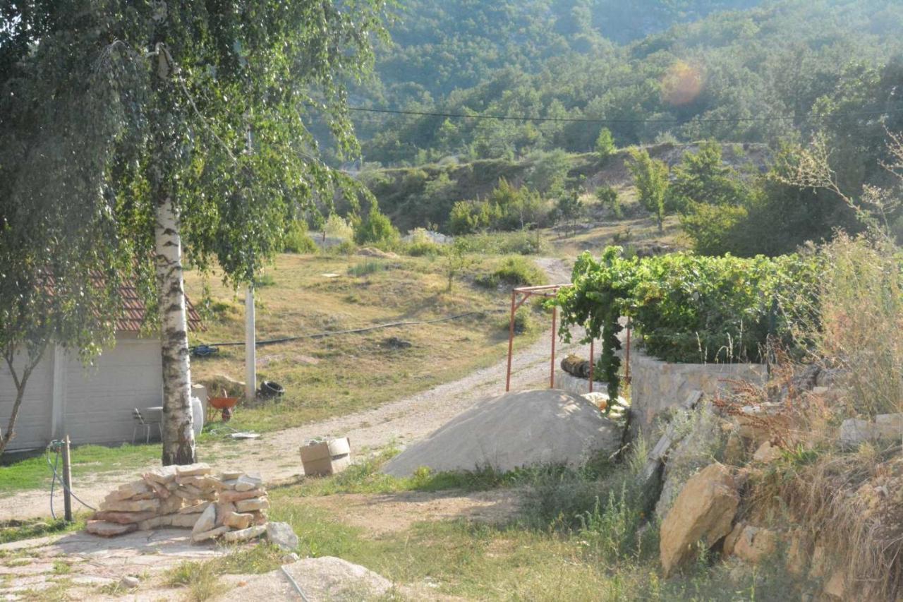 Gazdinstvo Tadic Guest House Nikšić Exterior foto
