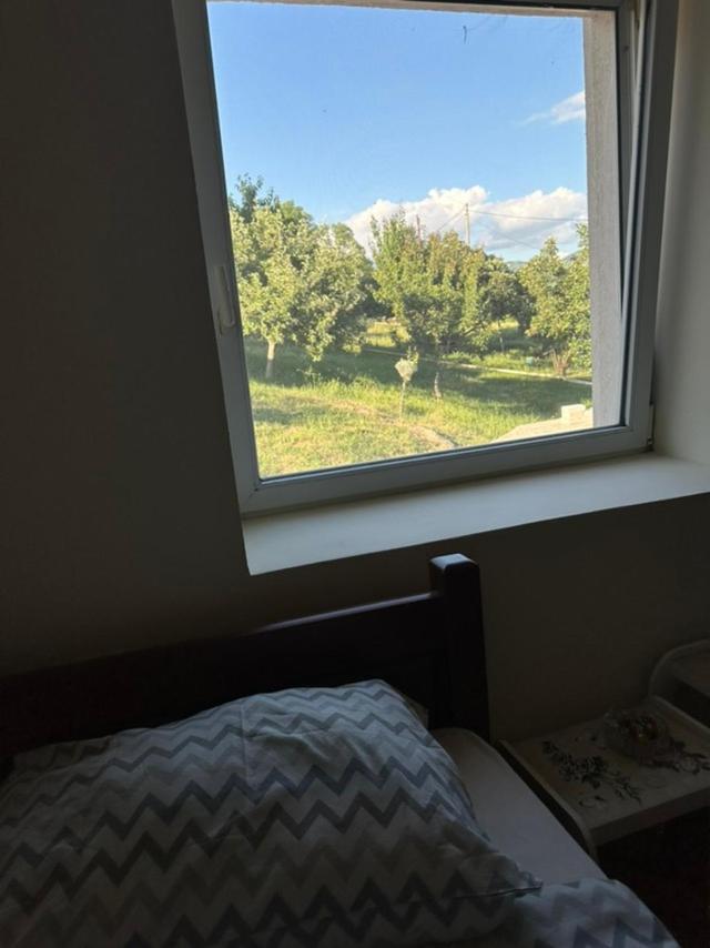 Gazdinstvo Tadic Guest House Nikšić Exterior foto