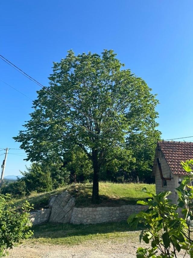 Gazdinstvo Tadic Guest House Nikšić Exterior foto
